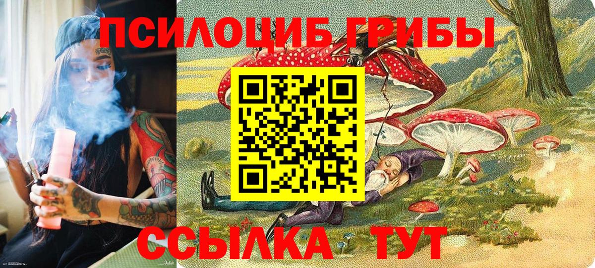 цена   Вход с VPN  Псилоцибиновые грибы Psilocybe  Выкса  Галлюциногенные грибы Magic Shrooms 