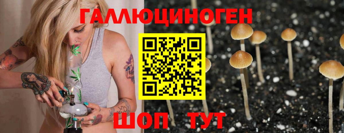 Галлюциногенные грибы Cubensis Выкса